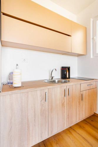 a kitchen with wooden cabinets and a sink at VilaA21 in Bar