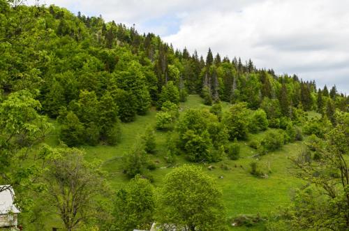 Un paisaje natural cerca del lodge