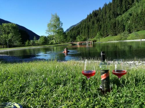 two glasses of wine sitting in the grass next to a lake at Familien & Wander-Pension Purkhardt in Donnersbachwald