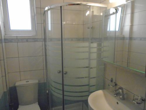 a bathroom with a shower and a toilet and a sink at Socrates Family Apartments in Lefkada
