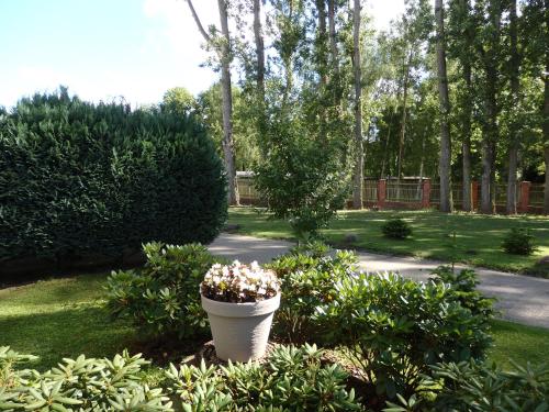 a large white pot with flowers in a garden at Zur Saale in Weißenfels