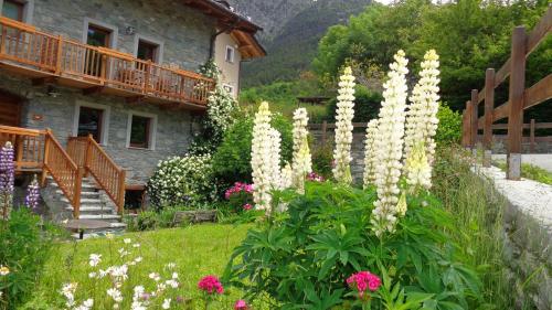 a garden with white flowers in front of a house at Maison Perriere - Chambres d'hôtes & Jacuzzi in Saint Vincent