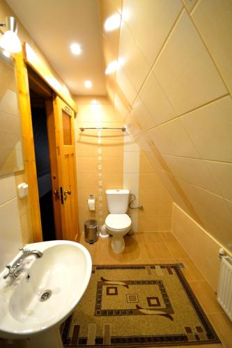a bathroom with a sink and a toilet at Apartamenty Willa Anna in Poronin