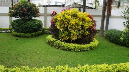 a garden with three hedges and flowers on the grass at Urdesa Suites Hotel in Guayaquil