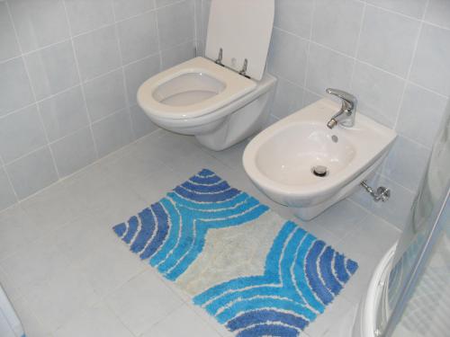 a bathroom with a toilet and a sink and a rug at Kiani Apartment in Pineto