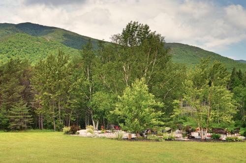 a field with trees and a mountain in the background at Hungry Trout Resort in Wilmington