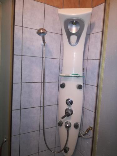 a toilet in a bathroom with a shower at Edit Vendégház in Tiszaújváros