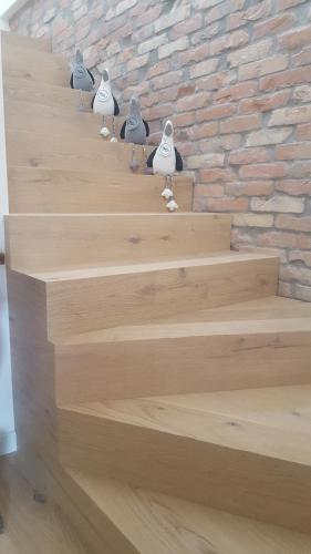 a group of birds sitting on the stairs at Casa di Mirea in Grado