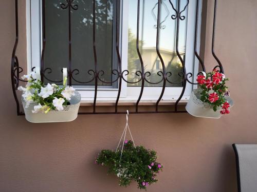 Gallery image of Demeliza Apartments in Plaka