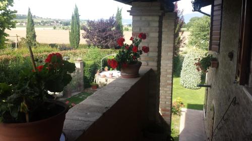 a view of a garden with flowers on a wall at Casa la Quiete in Torgiano