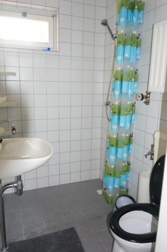 bagno con servizi igienici e lavandino di Vakantiehuis a Oosterwolde