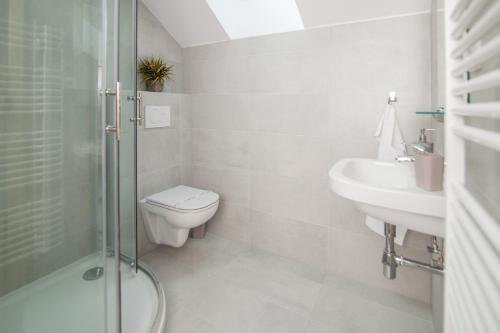 La salle de bains est pourvue de toilettes, d'un lavabo et d'une douche. dans l'établissement Chata pod Lysou, à Malenovice