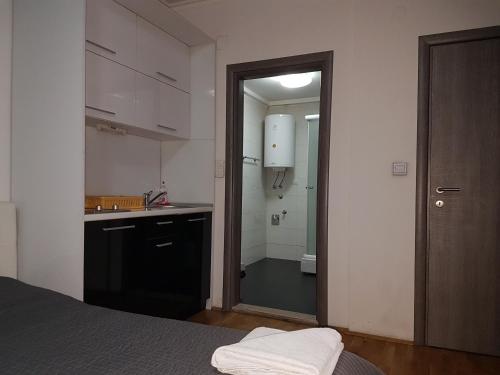1 dormitorio con lavabo y puerta que conduce a un baño en Apartments Kolevski, en Skopje