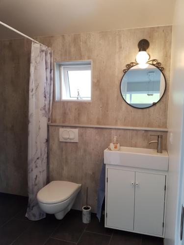 a bathroom with a toilet and a sink and a mirror at Bólstaðarhlíð - Cottage (studio) in Bólstaðarhlíð