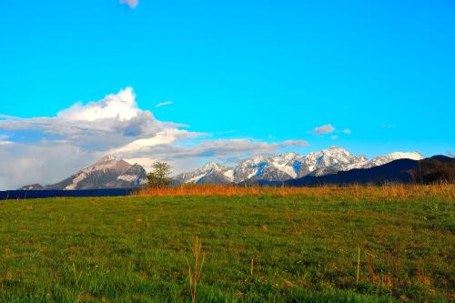 a green field with mountains in the background at Apartamenty Willa Anna in Poronin