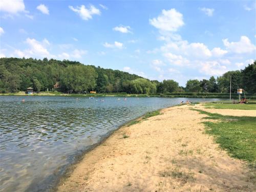 a sandy shore of a lake with trees in the background at Hotel Seebach in Großenseebach