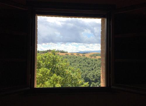 a window with a view of a tree at Agriturismo Pieve Sprenna in Buonconvento