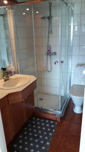uma casa de banho com um chuveiro, um lavatório e um WC. em Glæsibær em Reynistaður