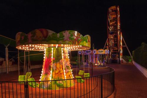 Galería fotográfica de Delphin Imperial Lara en Lara