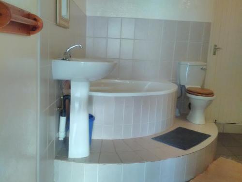 a bathroom with a sink and a toilet at Oppihoek Gastehuis in Kroonstad