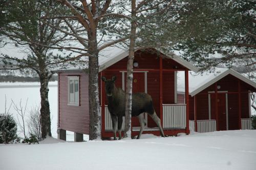 Tysfjord Hotel semasa musim sejuk