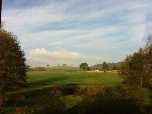 a green field with trees in the distance at Penzion Terezka in Králíky