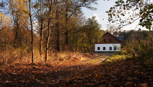 a house on the side of a road in the woods at Penzion Terezka in Králíky