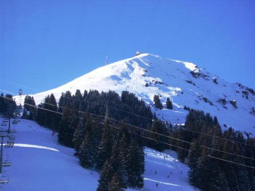 a snow covered mountain with trees in front of it at Bergpension-Ebental in Brixen im Thale
