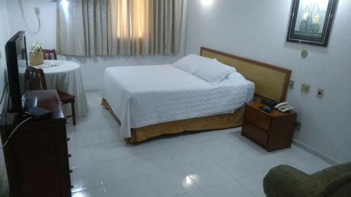 1 dormitorio con 1 cama y TV en Obeid Plaza Hotel, en Bauru