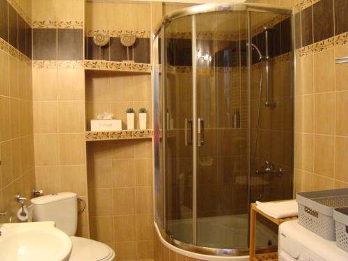 W łazience znajduje się prysznic, toaleta i umywalka. w obiekcie Apartament Boya w mieście Giżycko