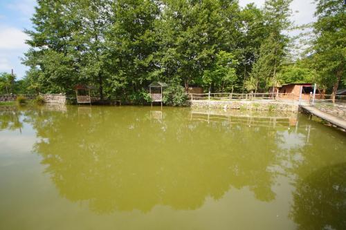 Φωτογραφία από το άλμπουμ του Oasis GASAMANIA στο Μπατούμι