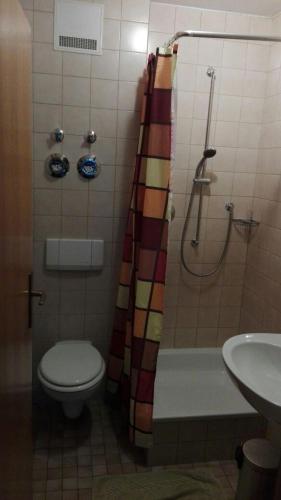 リンダウにあるHaus Schmidのバスルーム(シャワー、トイレ、シンク付)