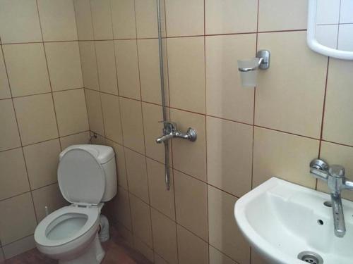 łazienka z toaletą i umywalką w obiekcie Guest House Viola w mieście Ezerets