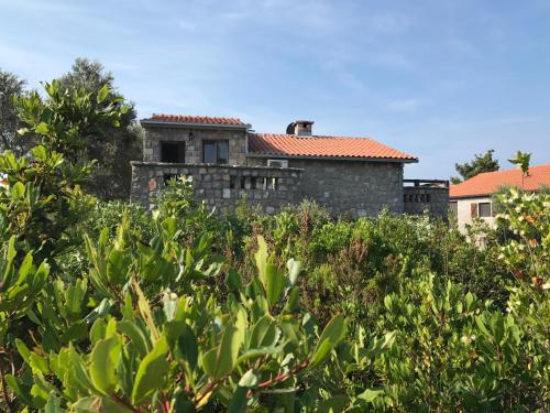an old stone house on a hill with trees at Apartments Vuk in Lustica