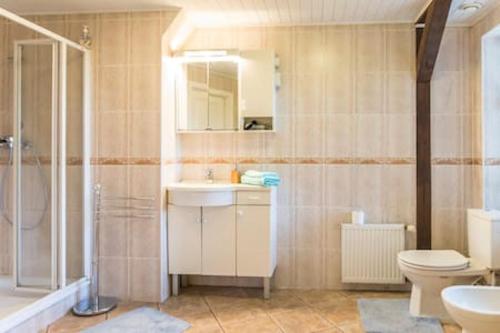 W łazience znajduje się umywalka, toaleta i prysznic. w obiekcie Old Riga Romantic Loft w Rydze