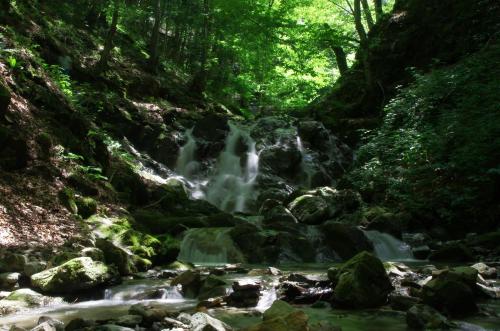 a waterfall in a forest with rocks and trees at Семеен Хотел Вит in Teteven