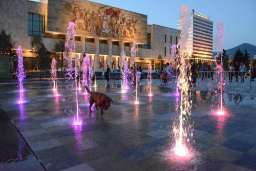 a dog walking in front of a fountain in front of a building at Areela Boutique Hotel in Tirana