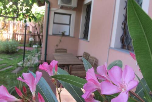 Κήπος έξω από το Casa Amaryllis
