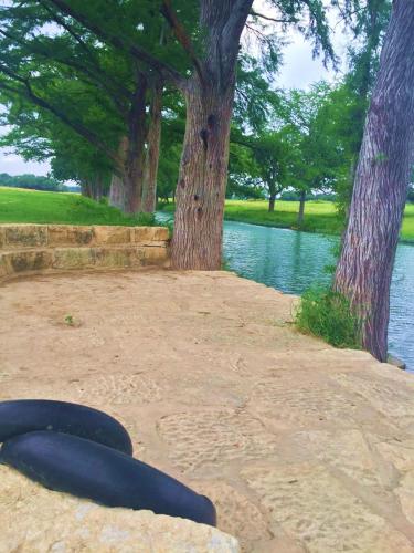 a group of blue tubes sitting on the sand near a lake at Joshua Creek Ranch in Boerne