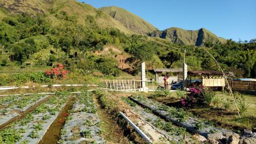 塞姆博倫拉旺的住宿－拜爾塞巴呼倫小屋＆騰德假日公園，相簿中的一張相片