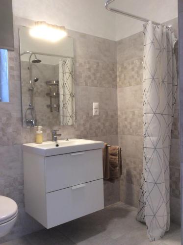 Kúpeľňa v ubytovaní Furedi virag villa