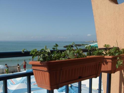 Gallery image of Hotel Evridika in Nesebar