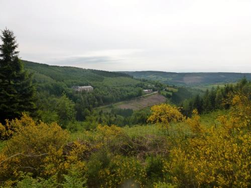 a view of a valley from a hill with trees at B&B Chambre d'hôtes de la Vecquée in Stoumont