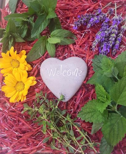 a heart shaped rock with welcome written on it next to flowers at Buine Tiere in Cercivento