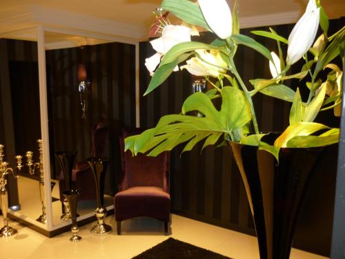 a plant sitting on a table in front of a mirror at Hotel Forsthaus in Berlin