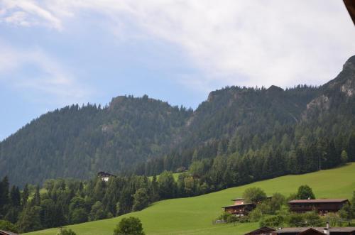 a green hillside with houses and a green field at Appartement Leirer in Alpbach