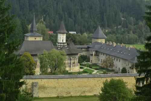 Gallery image of Pensiunea Agroturistica Casa Coliniţa in Vatra Moldoviţei