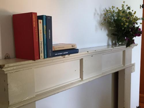 a shelf with books and a vase of flowers at Casa Cecilia Country House in Salgareda