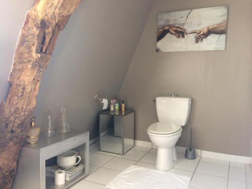 a bathroom with a white toilet in a attic at Logis de la Filanderie in Bécherel
