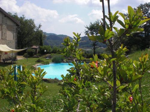 Bazén v ubytování Agriturismo Campo del Pillo nebo v jeho okolí